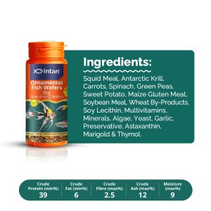 Ornamental Fish Wafers (Big) slow sinking wafers 65g