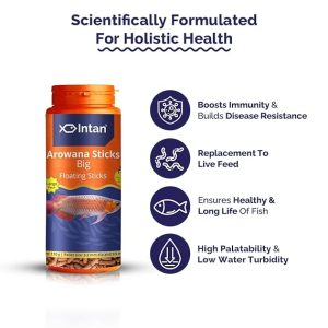 61JIYNtHBmL. SX569 720x