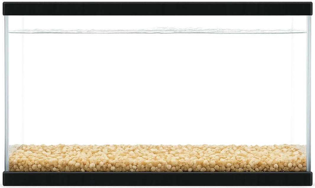 Fish Tank Background