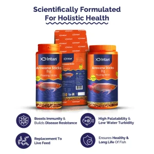 Intan Growel Arowana Big 4