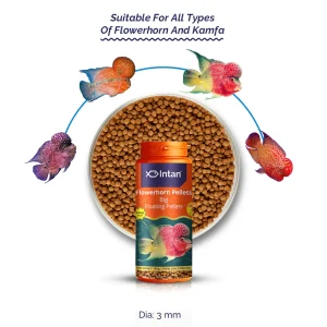 Intan Flower Horn Pellets(Big 3mm)floating pallets 160g