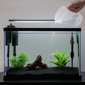 setting up small aquaeium